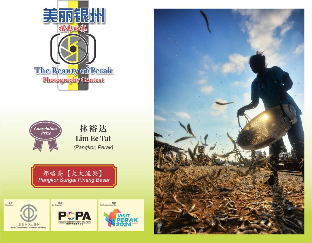 486602876 1068401928657461 8763456628962053553 n