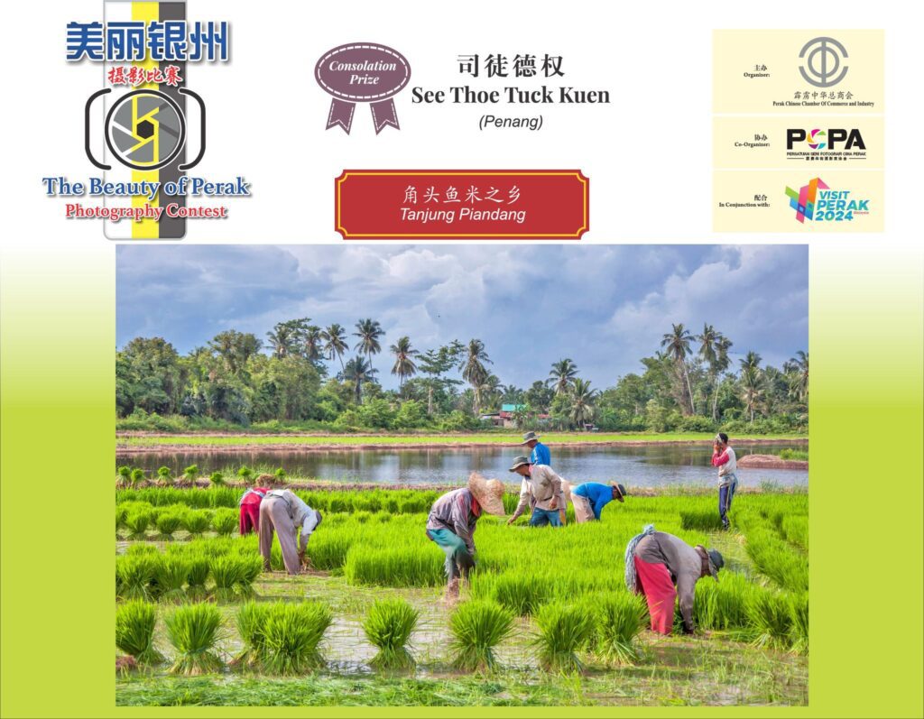 486606312 1068401935324127 7013678847412699039 n