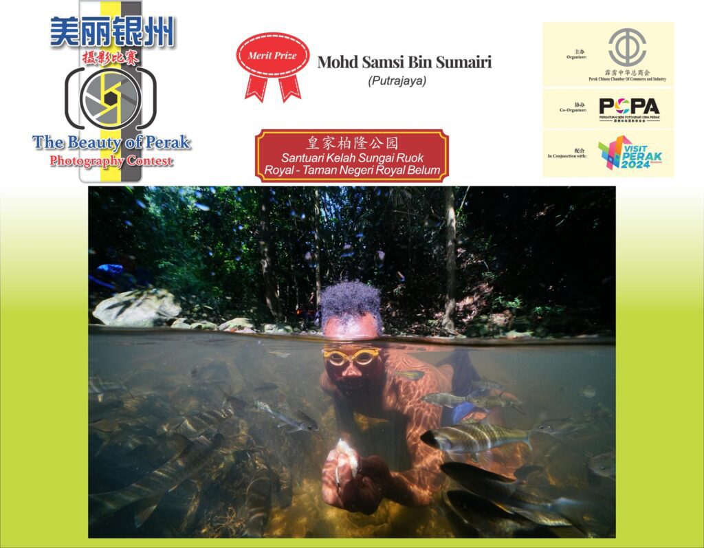 486612413 1068402018657452 9031575464201210983 n