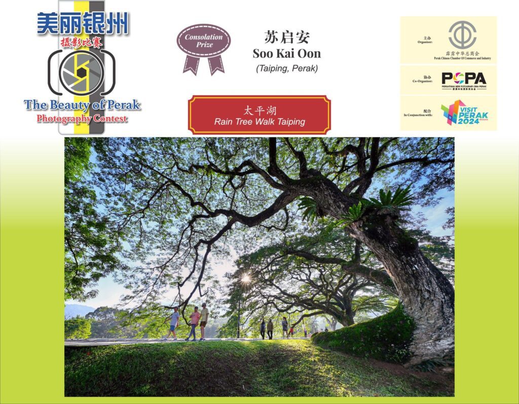 487309023 1068401908657463 4283469374200580704 n