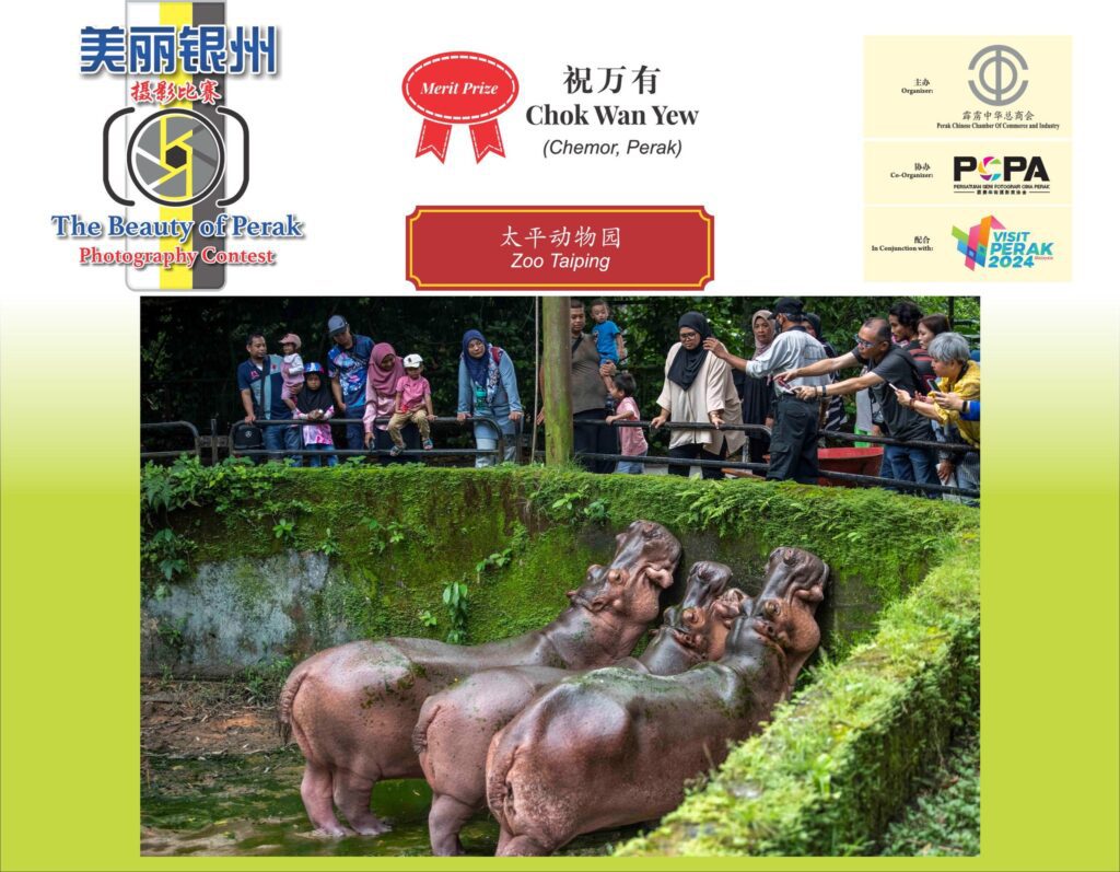 487309776 1068402008657453 6060816962473975950 n